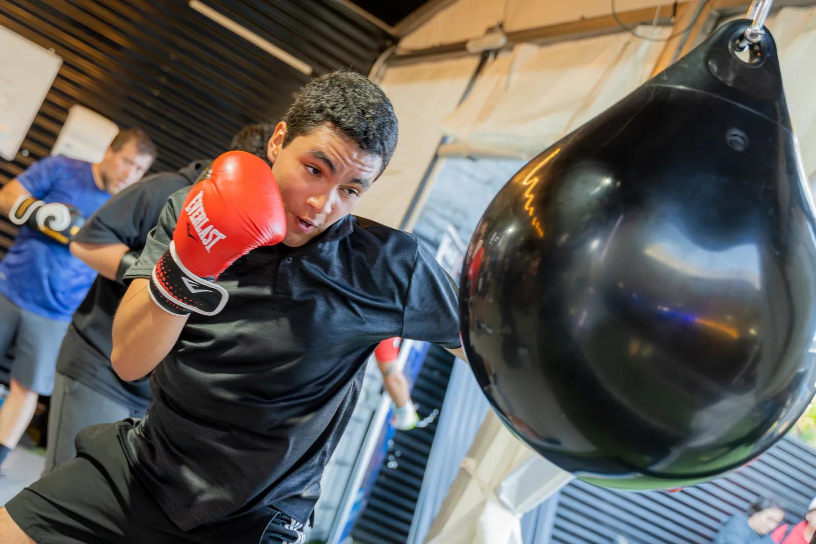 Boxeo