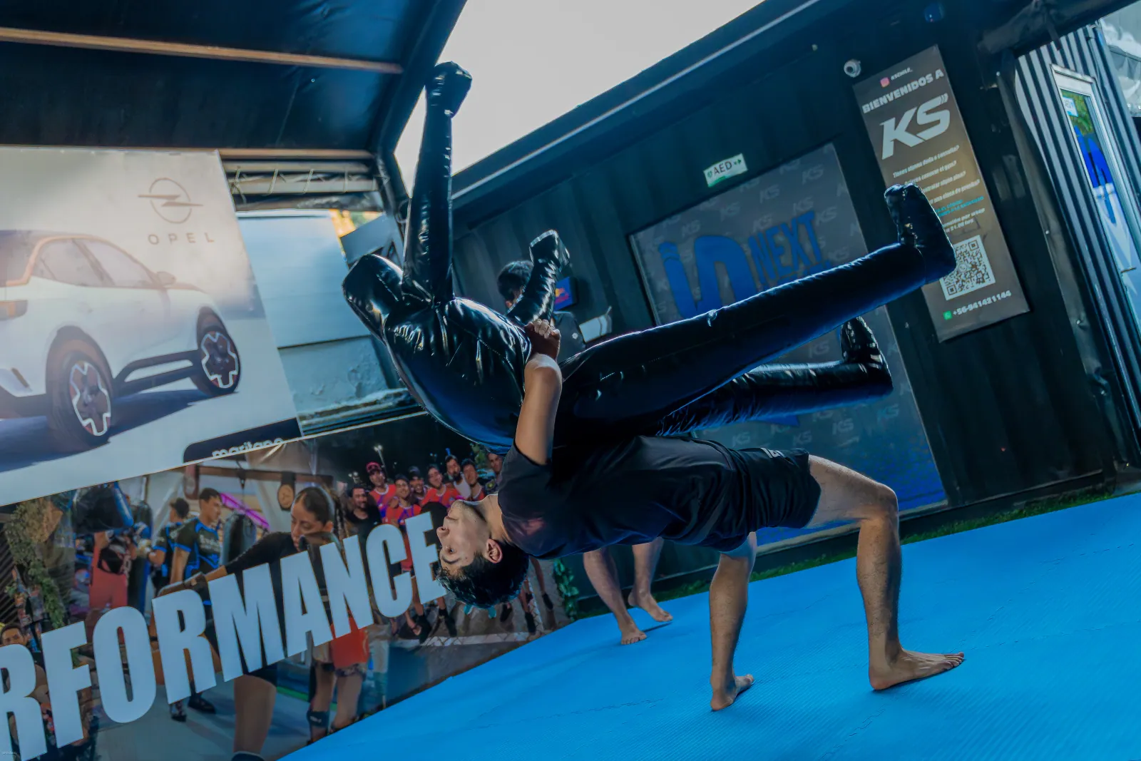 Wrestling